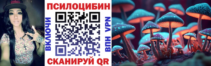 Галлюциногенные грибы мухоморы  купить наркотик  ссылка на мегу вход  Петров Вал 