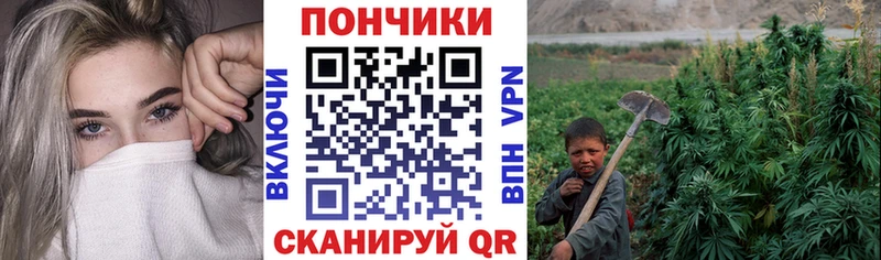 Бошки марихуана Amnesia  Петров Вал 